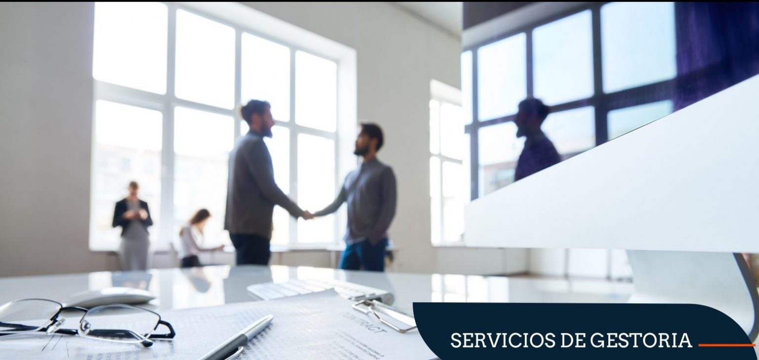 SERVICIOS DE GESTORIA